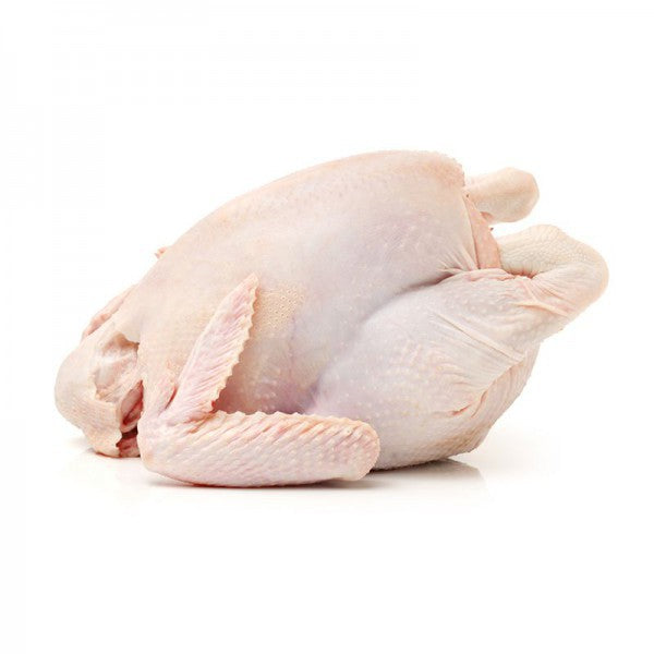 Kokolo Cleaned Hen (Hard Chicken) 1100g