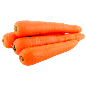 Carrot