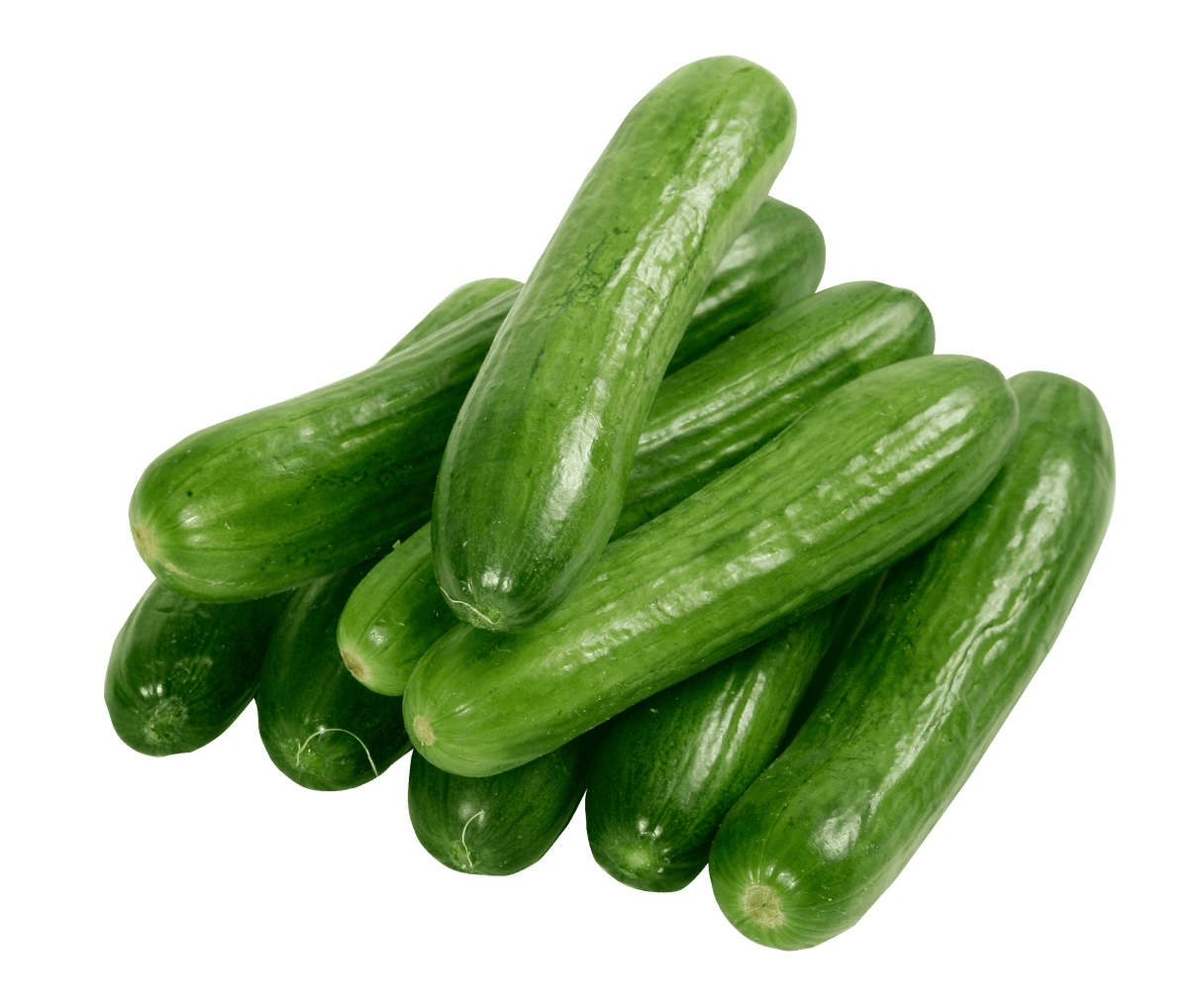 Cucumber (Kurkku)