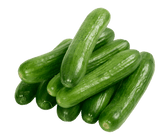 Cucumber (Kurkku)