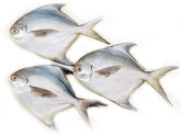 Silver pomfret (Rupchanda)1kg