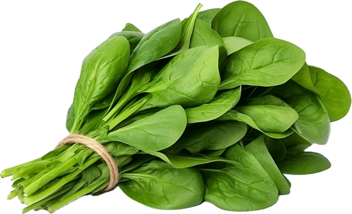 Spinach Bunch