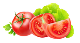 Tomato