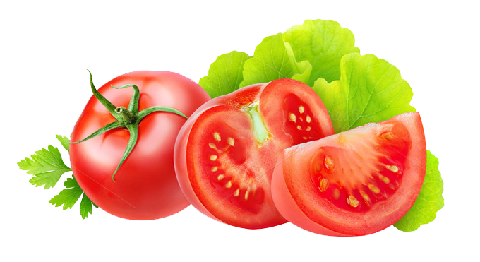 Tomato