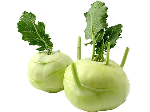 Turnip Cabbage/Shalgam