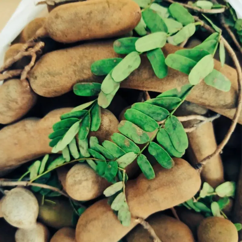Tamrind/Tetul 500g
