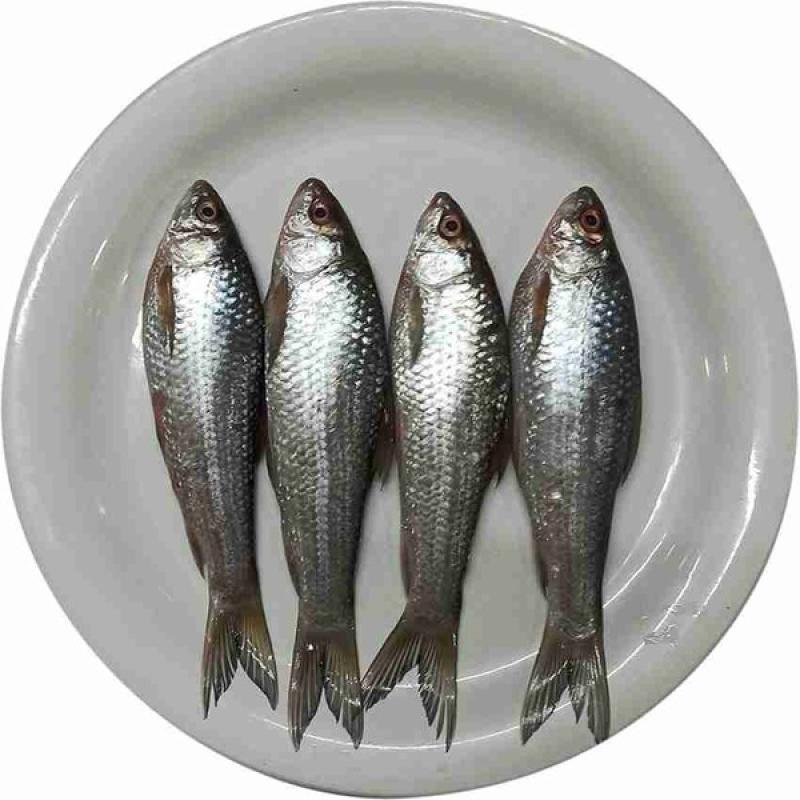 BD Bata Clean 500g