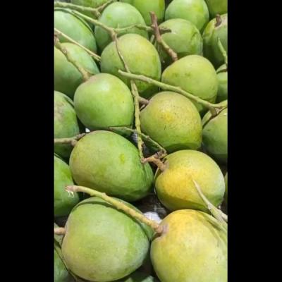 Mango Bangladeshi