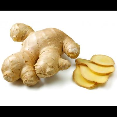 Ginger