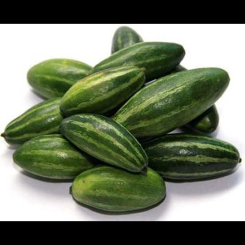 Pointed Gourd/Parwal