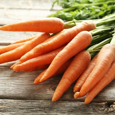 Carrot
