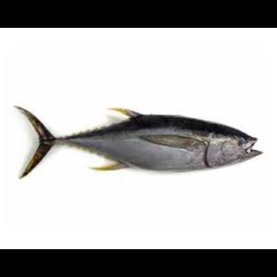 Tuna Whole 1kg