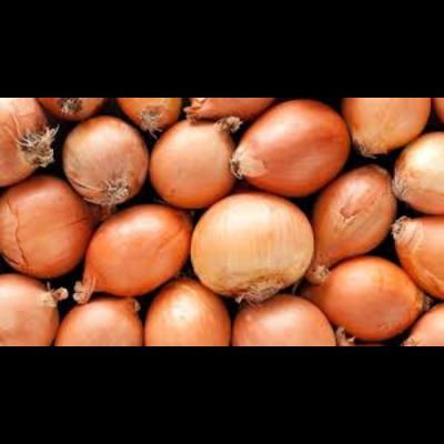 Onion