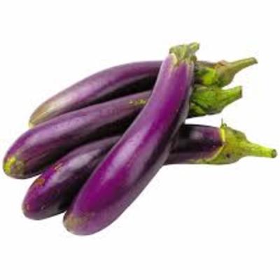 Long Eggplant