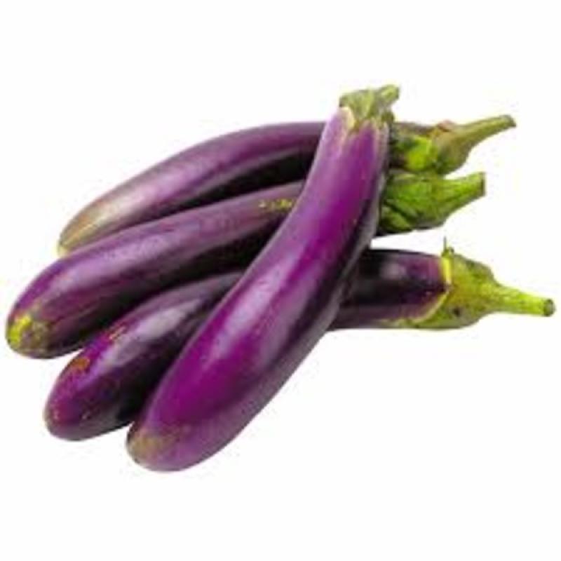 Long Eggplant