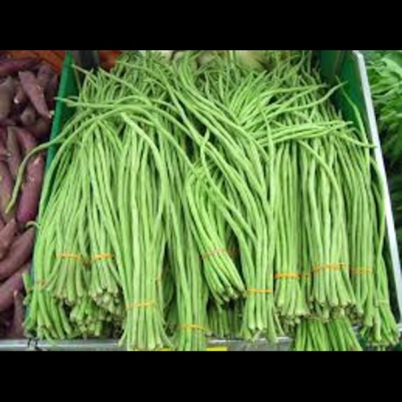 Fresh Long Beans