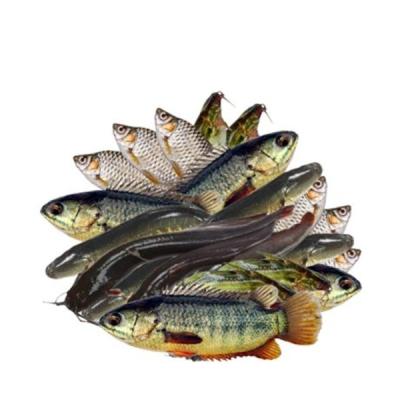 Mix Fish (Pas mishali) 250g
