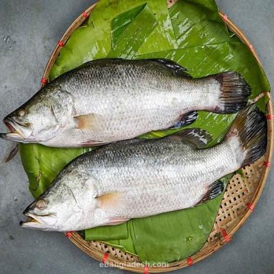 Koral fish whole 1kg