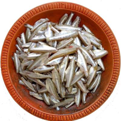 Mola Fish Tray 250g