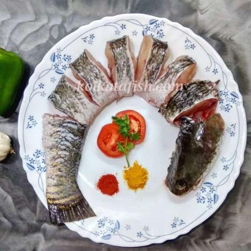 BD Shoal Fish Steak 500g