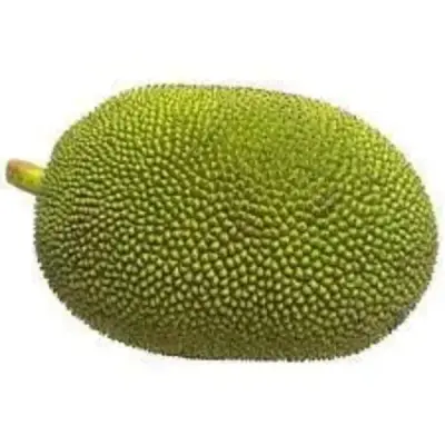 Raw Jackfruit / Kathal