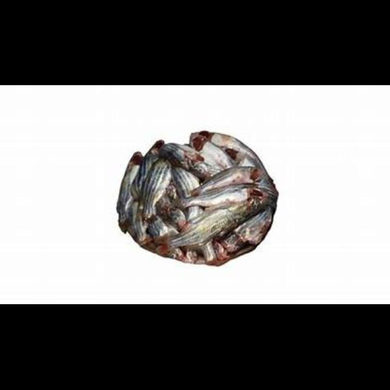 Tengra Bd 250g