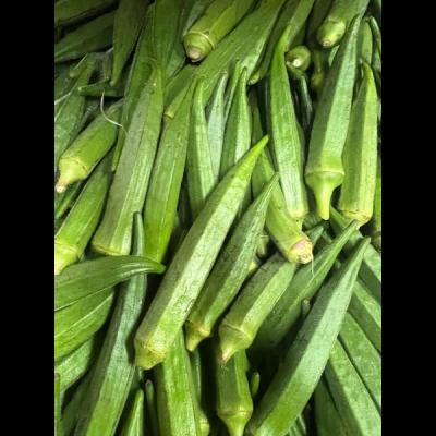 Lady Finger/Okra