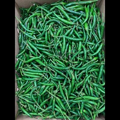 Green Chilli/ Uganda Hot Chilli 1kg