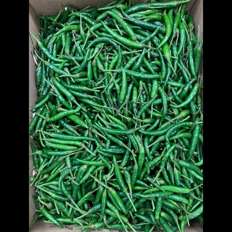 Green Chilli/ Uganda Hot Chilli 1kg