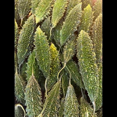 Fresh Korolla/Gourd