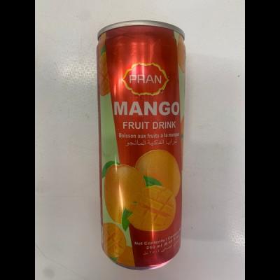 Pran Froto Mango Juice 250ml