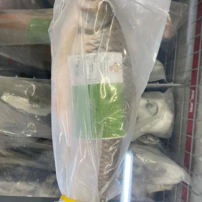 Sor Puti Whole Fish 1kg